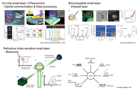 최신 연구 동향을 통해 살펴본 마이크로 레이저의 다양한 활용 분야의 예