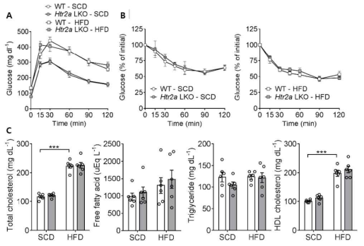 Htr2a LKO 마우스의 포도당 (A) 및 인슐린 (B) 부하 검사, 혈중 지질 프로파일 (C)