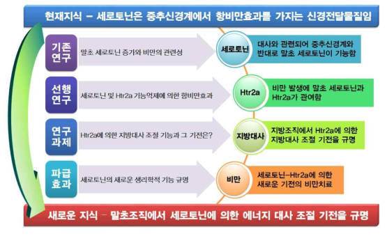 연구의 개요도