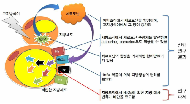 본 연구과제의 핵심 가설