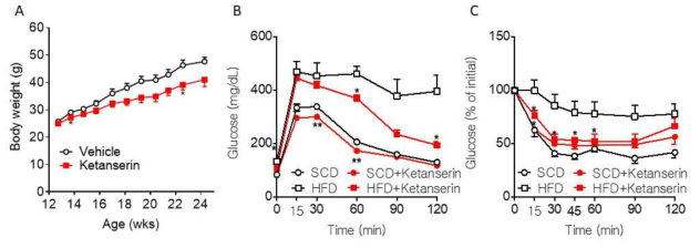 Htr2a 길항제 ketanserin 투여에 의한 고지방식이에서의 체중변화(A), 포도당 부하검사(B),인슐린 부하검사(C)