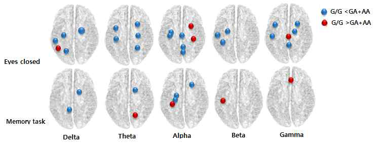 G/G genotype의 betweenness centrality