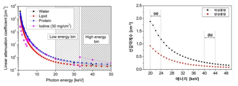 (좌)조영제의 X-선 스펙트럼 영상화를 위한 에너지 영역, (우)질병 특이적 물질의 X-선 스펙트럼 영상화를 위한 에너지 영역