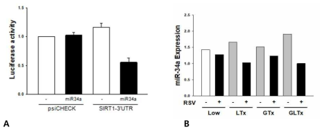 (A) 당지질독성 조건에서 Resveratrol (RSV) 처리 전후로 miR-34a 발현