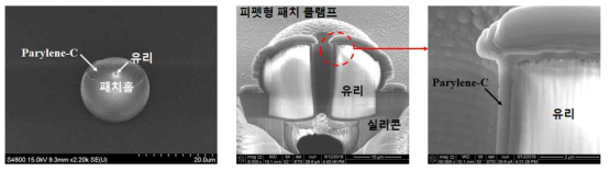 제작된 패펫형 패치 클램프의 전자 현미경 사진(왼쪽), 단면의 전자 현미경 사진(가운데), 단면을 확대하여 표면에 parylene-C가 증착된 패치 클램프의 SEM 사진(오른쪽)