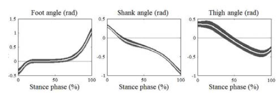 사용자 선호속도 정상상태 보행 시 하지 분절의 각도 변화 그래프