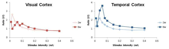 발달 시기에 따른 시각 및 측두엽피질의 Inhibitory-Excitatory Balance