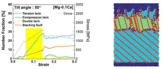 Tilt angle이 50°일 때 Mg-0.1 at% Ca 합금의 twin 형성 거동