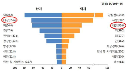 우리나라 대장, 직장암 발생 현황