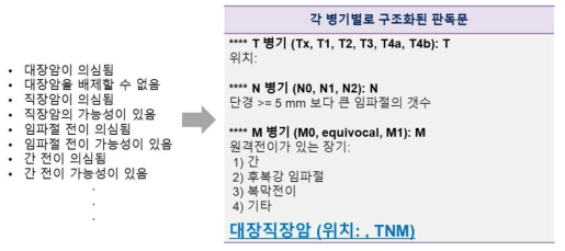 복부 전산화단층촬영의 판독문 구조화