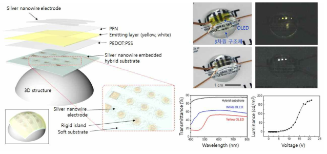 신축성 투명 OLED의 구조(왼쪽), 제작된 신축성 투명 OLED의 3차원 구조체상 발광(오른쪽 위), 신축성 투명 OLED의 투명도 및 휘도 그래프(오른쪽 아래)
