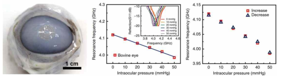 안압 감지용 소프트 콘택트렌즈 사진(왼쪽), 안구의 압력 변화에 따른 고유진동수 변화 그래프(가운데) 안압 증감에 따른 감지 결과 그래프(오른쪽)