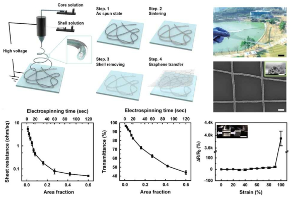전기방사를 이용한 금속 나노섬유-그래핀 하이브리드 신축성 투명 전극 공정 및 특성