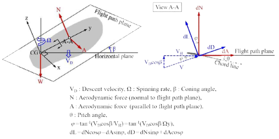 Forces and motion parameters of autorotation