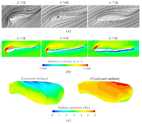 Flow pattern and surface pressure distribution of the sample maple seed, (a) Sectional streamlines, (b) Spanwise vorticity, (c) Surface pressure distribution