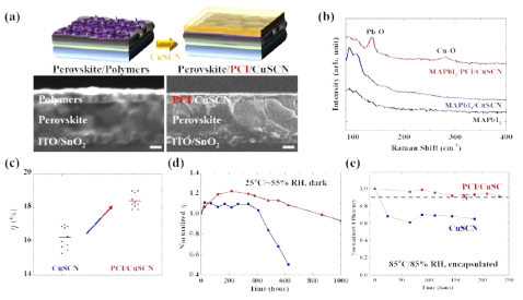 (a) PDMS 층간소재를 이용한 정공전달물질의 모식도 및 SEM 이미지 (b) Raman 분광분석 (Pb-O, Cu-O 결합 관찰) (c) PDMS 층간소재 유무에 따른 광전변환효율 및 (d) 수분안정성, (e) 열안정성 비교