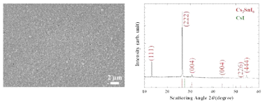 진공 및 용액 혼합공정으로 제작된 Cs2SnI6 박막의 주사전자현미경 사진 및 XRD 회절 패턴