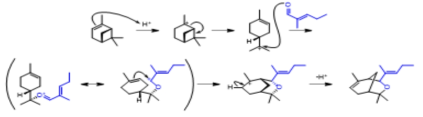 Suggested cycloaddition mechanism of α-pinene and 2-methyl-2-pentenaldehdye