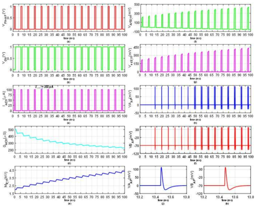 초기 상태 M(0) = 2kΩ 일 경우, 제안한 회로의 synaptic 반응 (a). Presynaptic APs (VPre_AP), (b) 1’s complement discharging signal (Vdis), (c). ACh synthesis (IACh), (d). number of ACh released (GACh), (e). synaptic strength (Msyn), (f). voltage across artificial synapse (VArtSyn), (g). excitatory synaptic voltage (VexSyn), (h) artificial action potentials (VAAP), (i). biologically matched postsynaptic action potentials (VBAP), (j). zoom of VAAP, (k). zoom of VBAP