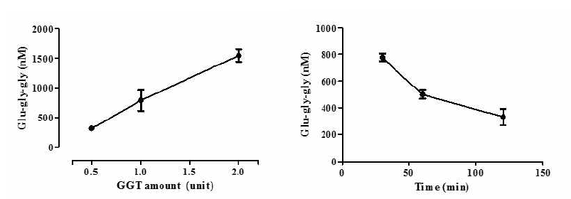농도 및 시간에 따른 GGT transpeptidase 활성