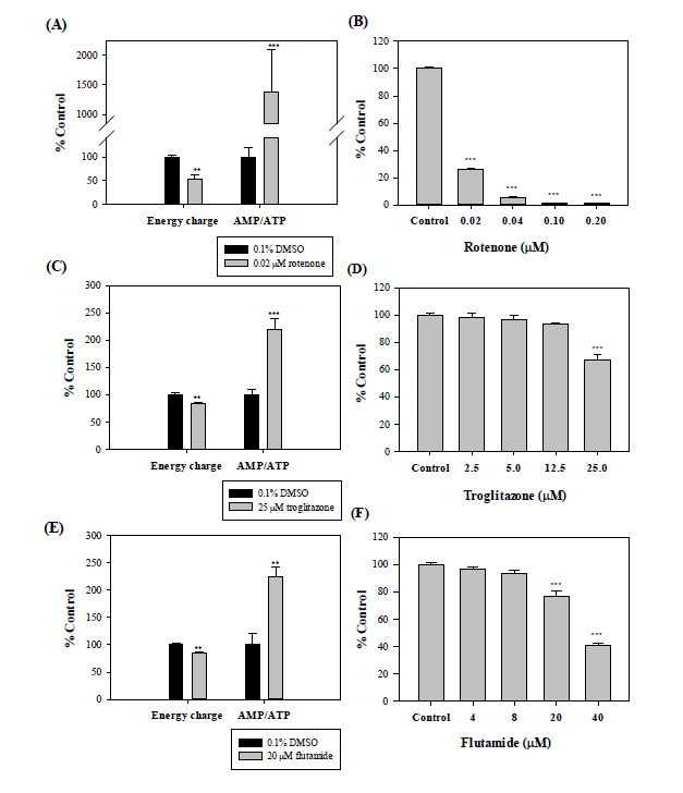 HepG2 세포에서의 energy charge, AMP/ATP ratio(A, C, E)와 MTT assay(B, D, F)