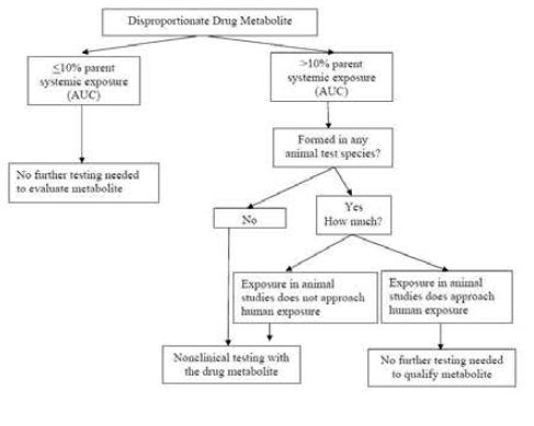 FDA guidance (대사체 독성 관련)