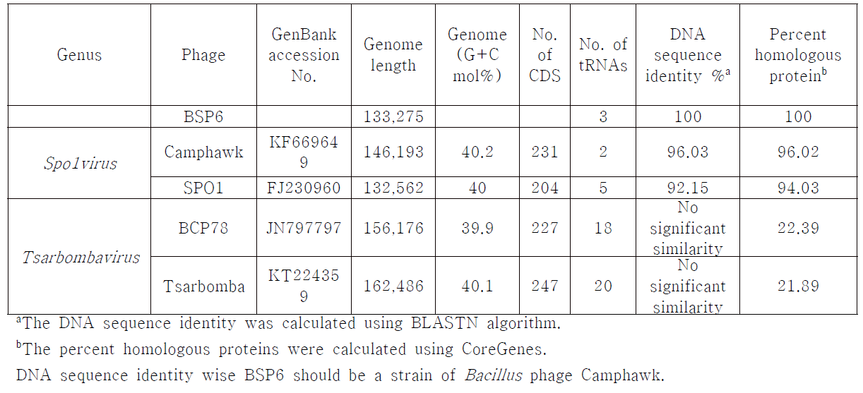 Genomic and proteomic features of ICTV classified Bacillus phages in Spounavirinae subfamily