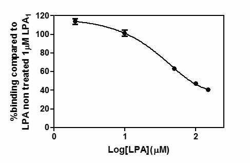 Lysophosphatidic acid (LPA)에 의한 양친성고분자에 의하여 안정화된 P9-LPA1과 Gαi3간의 선택적인 상호작용의 억제