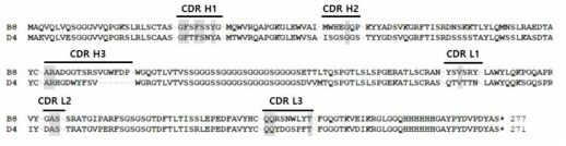 선별된 LPA2 수용체 특이적 단일사슬항체 클론들의 아미노산 서열