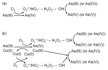 (a) 구리계 촉매가 없는 조건과 (b) 구리계 촉매가 있는 조건에서의 광화학적 비소 산화 메커니즘