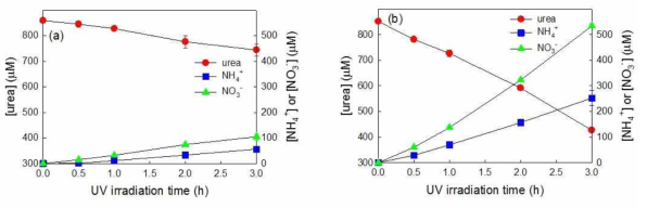 (a) 표면개질되지 않은 이산화티타늄과 (b) 백금 나노입자로 표면개질된 이산화티타늄에 의한 요소 분해 및 분해 생성물 발생 결과