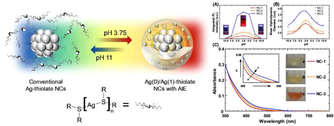 pH 제어를 통한 은 나노클러스터의 응집유도 형광증폭 현상 모식도와 관련 연구 결과
