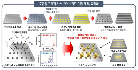 1차년도 연구 수행 범위 연구개발 개요도