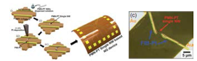 단일 압전나노선의 압전특성을 평가하기 위해 플라스틱 기판에 전사하는 과정과 실제 제작된 소자
