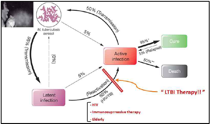 Stage of Mycobacterium tuberculosis infection