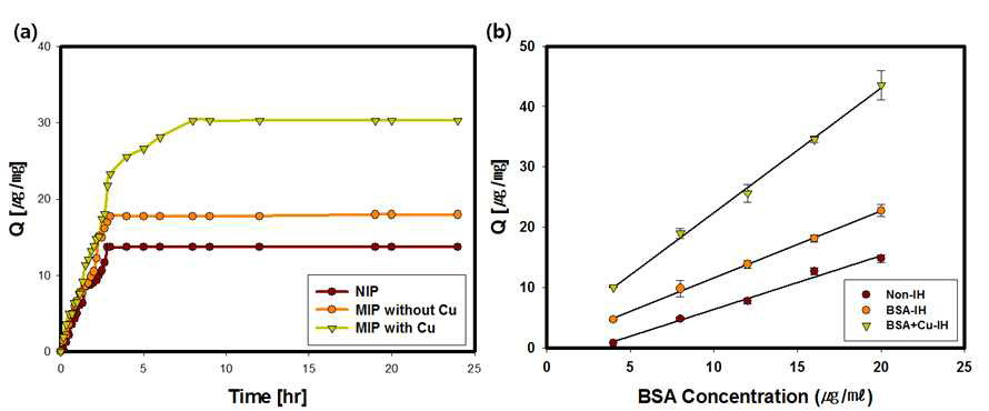 액티브 층이 다른 3 가지 종류 (NIP, 구리이온이 존재하지 않는 MIP, 구리이온이 존재하는 MIP)의 이중층 하이드로겔의 (a) 시간에 따른 BSA 흡착량 및 (b) BSA 농도에 대한 BSA 흡착량