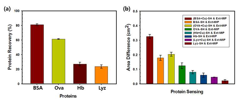 액티브 층이 다른 2 가지 종류 (구리이온이 존재하지 않는 MIP, 구리이온이 존재하는 MIP)의 이중층 하이드로겔의 (a) 선택성 그래프 및 (b) 다양한 단백질에 대한 면적 변화 그래프