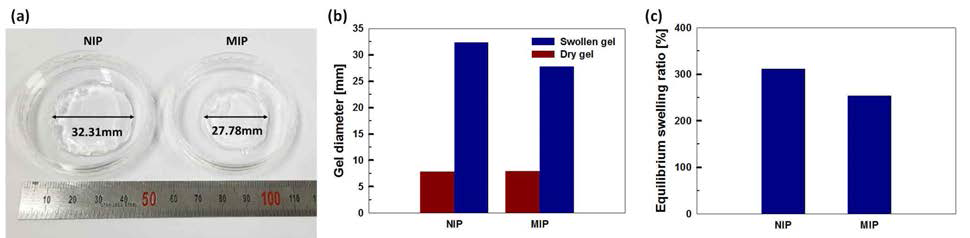(a) 평형 팽윤에 이른 미각인/분자각인 하이드로겔 필름의 지름 비교 이미지, NIP와 MIP의 (b) 수축/팽윤 거동 비교 그래프 및 (c) 평형 팽윤 비 비교 그래프
