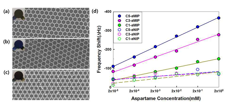 스윕사이클 (a) 1, (b) 3, 및 (c) 5로 제작된 핀-홀 성장된 분자각인 고분자 박막의 SEM 이미지 및 (d) 분자각인/미각인 고분자 박막의 아스파탐 농도에 대한 공진 주파수 변화 그래프