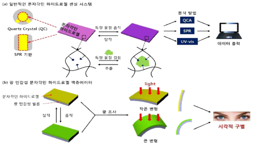 (a) 기존 분자각인 기술을 이용한 센서 시스템 및 (b) 분자인식 여부를 시각적으로 구별 가능한 광민감성 분자각인 하이드로겔 액츄에이터의 예