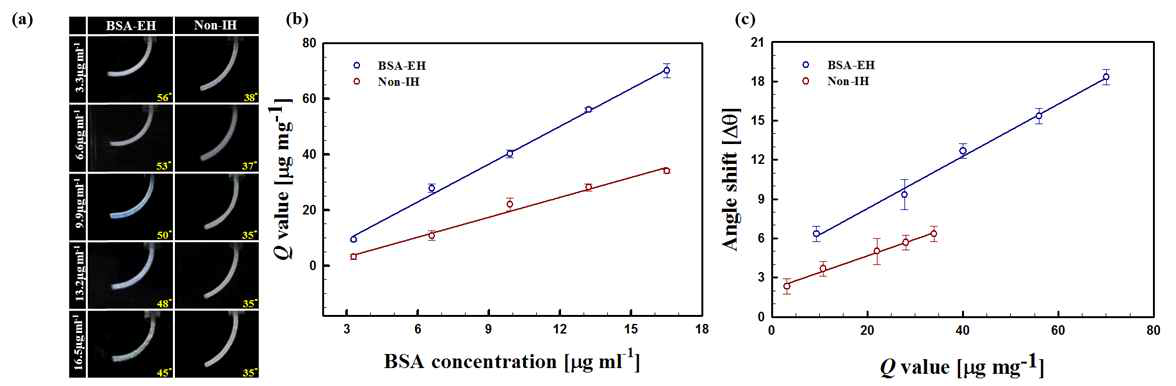 BSA-EH 및 Non-IH 필름들의 BSA 농도 3.3에서 16.5 μg/ml BSA 농도의 PBS 용액 내에서 팽윤 평형 상태에서의 (a) 굽힘 각 이미지, (b) BSA 농도에 따른 흡착용량 그래프 및 (c) 흡착용량에 따른 굽힘 각 변화 그래프