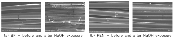 SEM photos before and after 1N NaOH exposure for 180 days