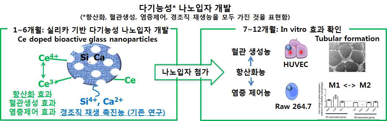 연구의 목표 및 연구의 유기적 관계를 보여주는 모식도