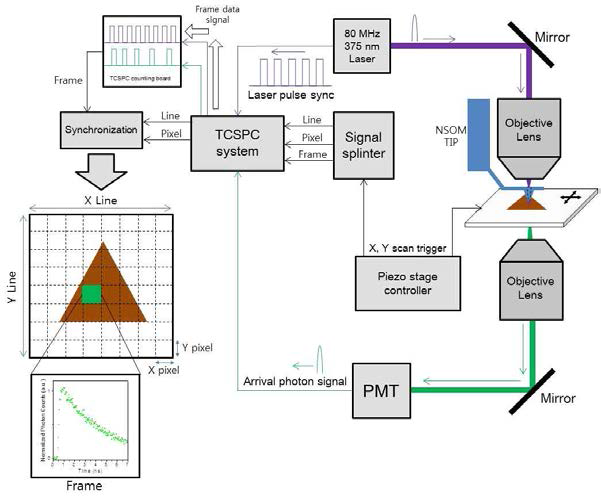TCSPC와 근접장광현미경(NSOM)의 동기화 시스템 구축현황