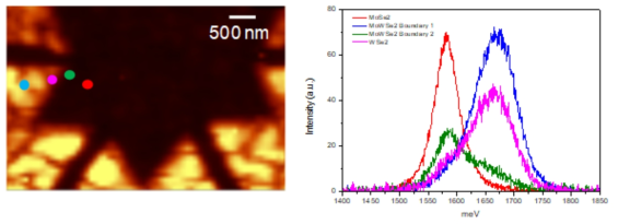 MoSe2/WSe2 로 이루어진 이종 lateral heterojunction 구조에서의 NSOM PL image 와 스펙트럼