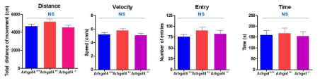 Arhgef4 KO 마우스 Open filed test 결과