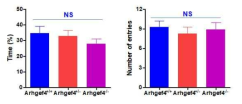 Arhgef4 KO 마우스 Elevated plus maze test 결과