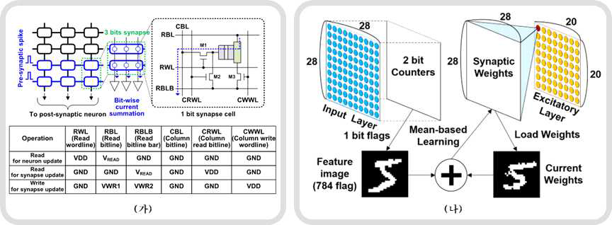 (가) 제안된 SOT-MRAM crossbar 시냅스 배열 (나) 제안된 spike counts based 학습방법