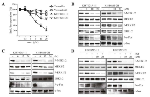 Effects of KIST0215-1II and KIST0215-2II on EGF-Induced Cell Proliferation and Phosphorylation of MEK, ERK1/2 and c-Fos