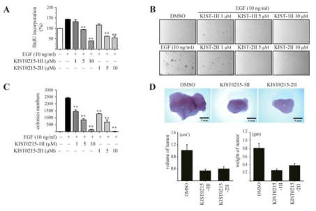 In vitro and in vivo effects of KIST0215-1II and KIST0215-2II on tumorigenicity